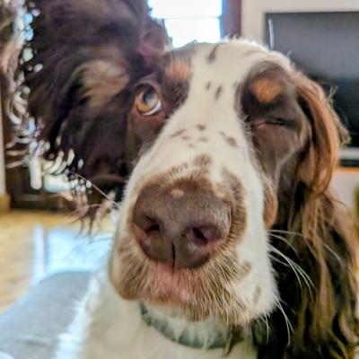 [?]