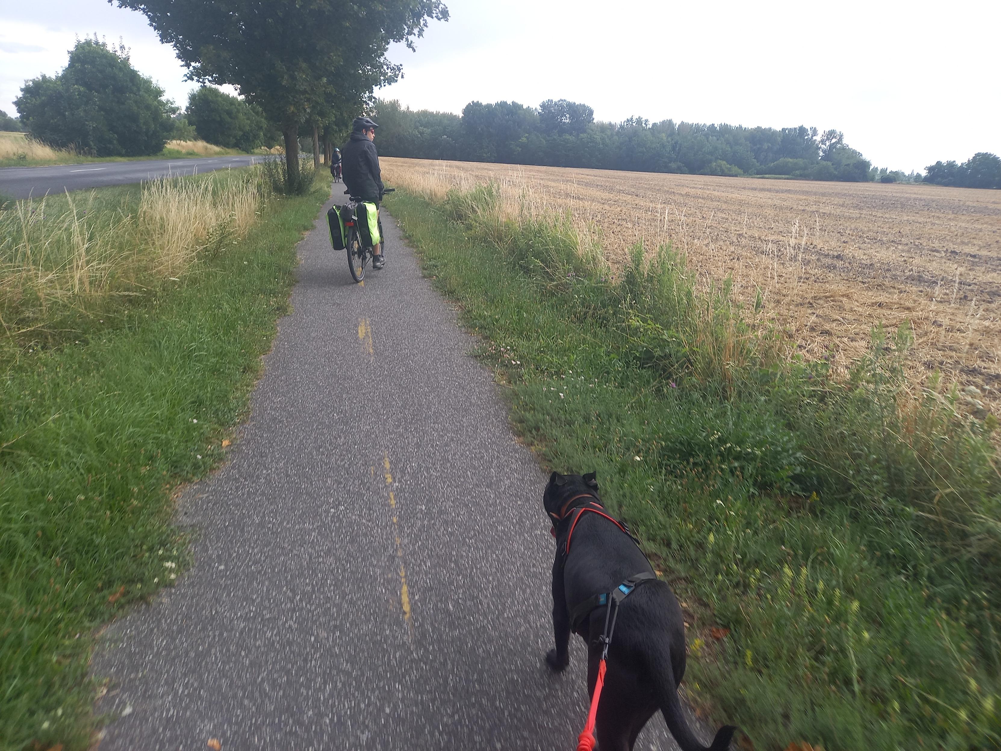Unchien noir suit un cycliste sur l'eurovelo 6 en Hongrie. Une petite piste cyclable au bord d'un champ.